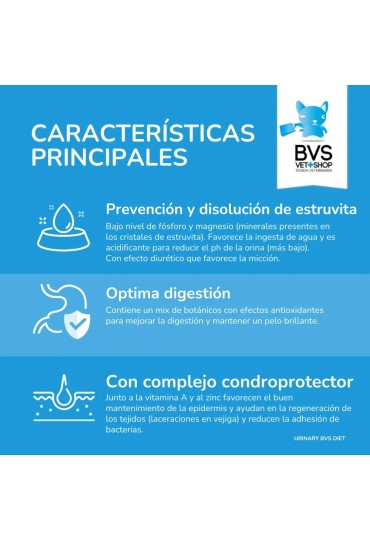 Diet Gato Urinary 2Kg Bvs