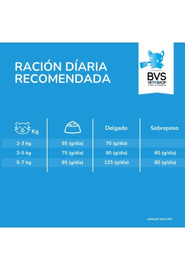 Diet Gato Urinary 2Kg Bvs