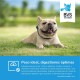 Perro Metabolico Condro Plus 3Kg Bvs