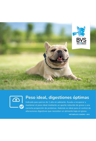 Perro Metabolico Condro Plus 3Kg Bvs