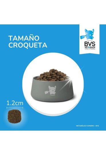 Perro Metabolico Condro Plus 3Kg Bvs