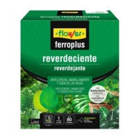 FERRO-PLUS REVERDECIENTE