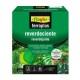 FERRO-PLUS REVERDECIENTE