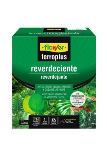 FERRO-PLUS REVERDECIENTE