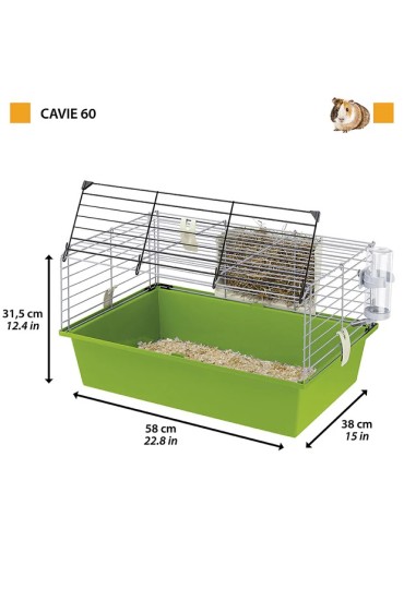 Jaula Roedores Cavie 60