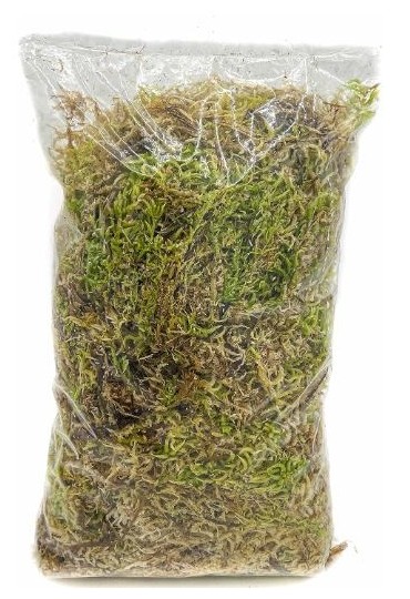 SPHAGNUM MUSGO DE TURBA