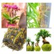 SPHAGNUM MUSGO DE TURBA