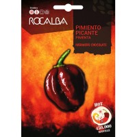 Rocalba Semilla Pimiento Picante Habanero Chocolat