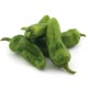 Pimiento De Gernika