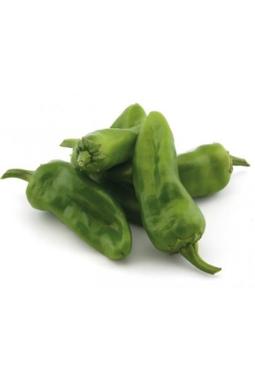 Pimiento De Gernika