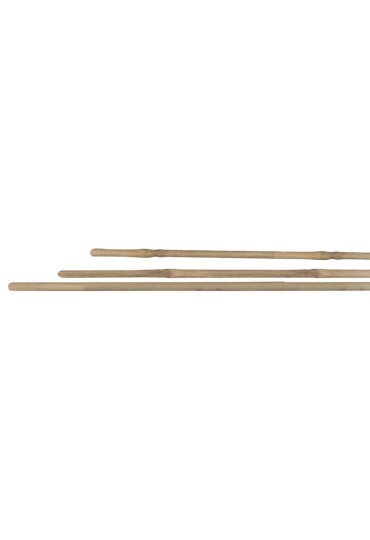 Mazo De 5 Tutores De Bambu 120Cm 10/12Mm