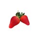 TOMATE GORDO INJ
