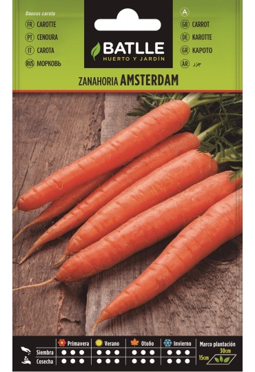 Batlle Semilla Zanahoria Amsterdam