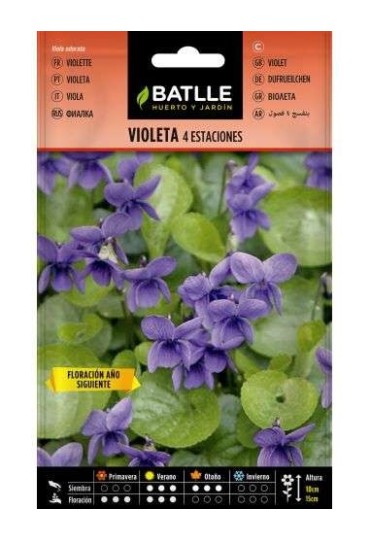 Batlle Violeta 4 Estaciones