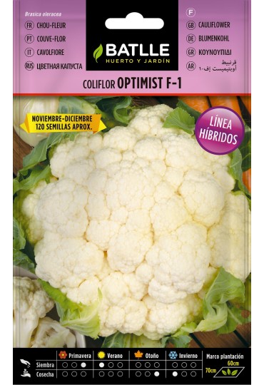 Batlle Semilla Coliflor Optimist F-1