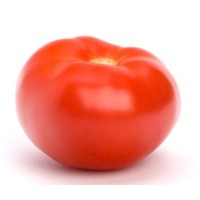 Tomate Jack Inj Pack 4