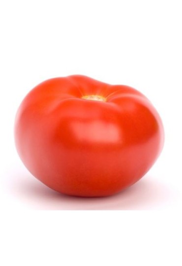 Tomate Jack Inj Pack 4