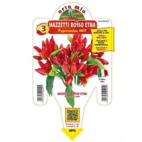 Pimiento Etna Manojos Rojos M14