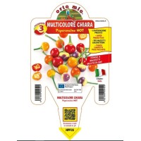 Pimiento Claro Redondo Multic. M14