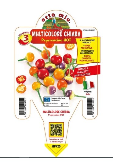 Pimiento Claro Redondo Multic. M14