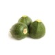 Calabacin Redondo M11