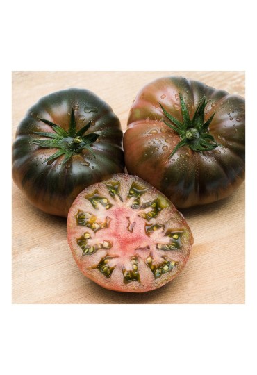 Tomate Negro De Santiago M11