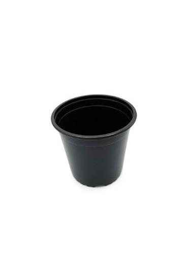 Tomate Negro De Santiago M11