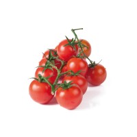 Tomate Cherry Redondo Eco M11