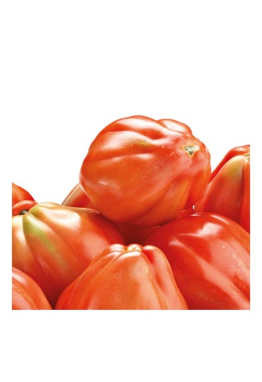 Tomate Cuor Di Bue Eco