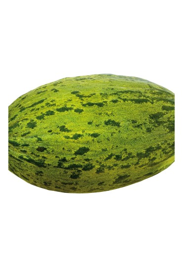 Melon Piel De Sapo F1 Inj