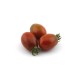 Tomate Cherry Morenito Injertado M11