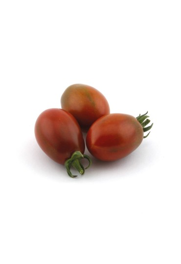 Tomate Cherry Morenito Injertado M11