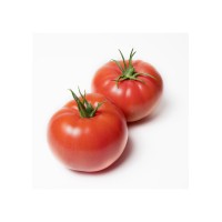 Tomate Rosa Beef M11