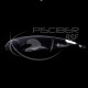 Pez Cuchillo Alifrons