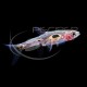 Rasbora Mosquito