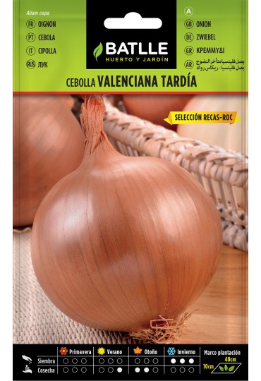 Batlle Cebolla Valenciana Tardia