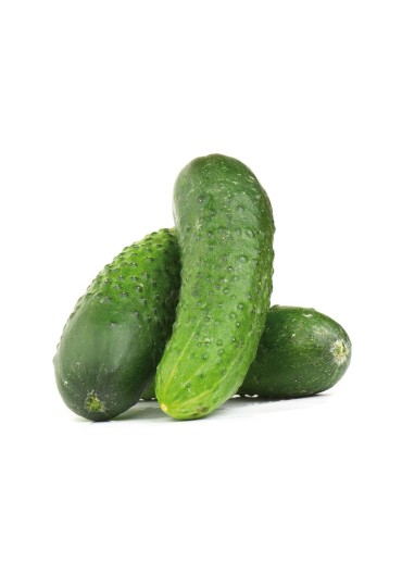 Pepino Español Pack 6 Eco