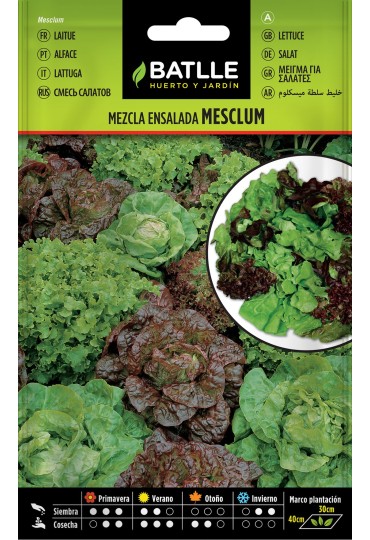 Semilla Mezcla De Ensaladas Battle
