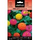 Batlle  Zinnia Liliput