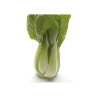 Pak Choi Pack 12