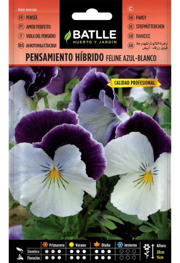 Batlle Pensamiento Hibrido Feline Azul - Blanco
