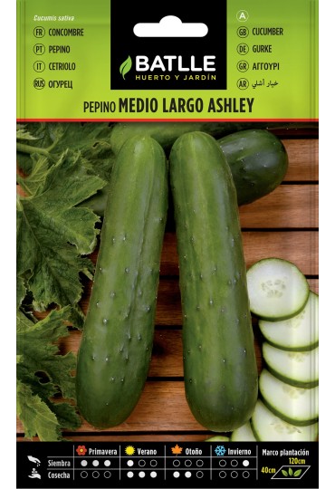 Batlle Semilla Pepino Ashley Medio Largo