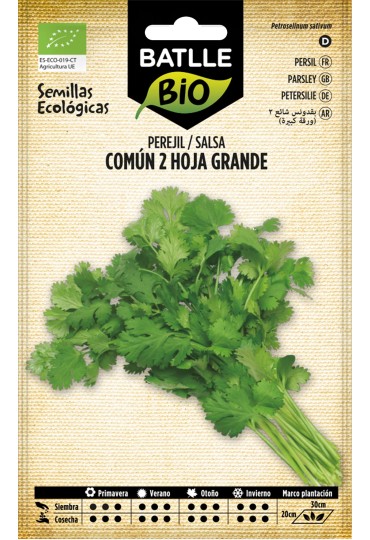 Batlle Perejil Común 2 (Hoja Grande) Eco