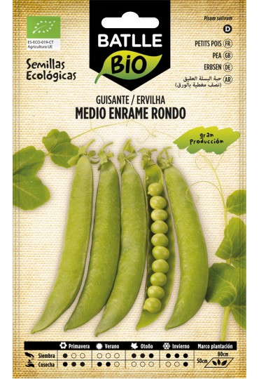 Batlle Guisante Rondo (Medio Enrame) Eco