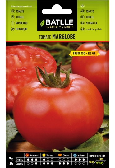 Batlle Semilla Tomate Marglobe