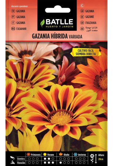 Batlle Semilla Gazania Hibrida Variada