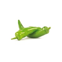 Pimiento Italiano F1 Eco M11