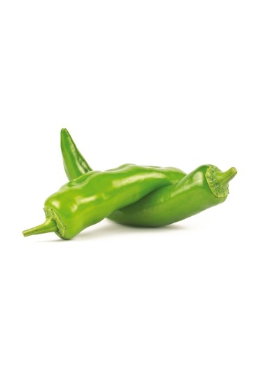 Pimiento Italiano F1 Eco M11