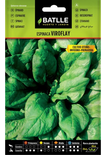 Batlle Semilla Espinaca Viroflay