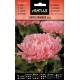 Batlle Clavel Chabaud Rosa